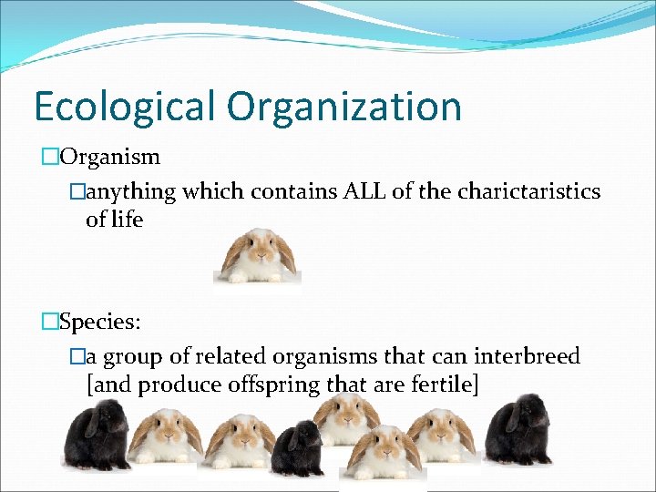 Ecological Organization �Organism �anything which contains ALL of the charictaristics of life �Species: �a