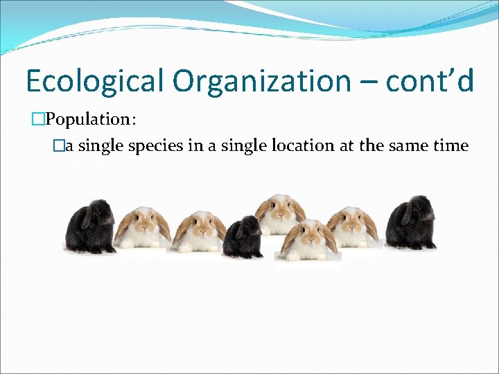 Ecological Organization – cont’d �Population: �a single species in a single location at the