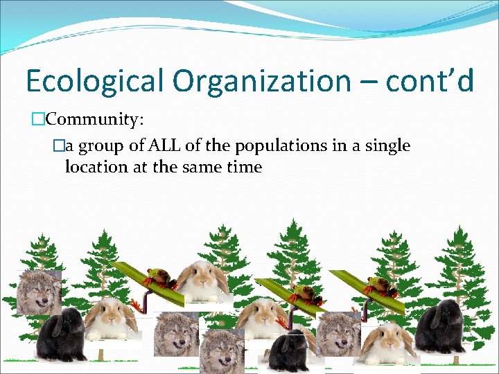 Ecological Organization – cont’d �Community: �a group of ALL of the populations in a