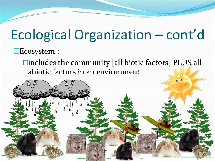 Ecological Organization – cont’d �Ecosystem : �includes the community [all biotic factors] PLUS all