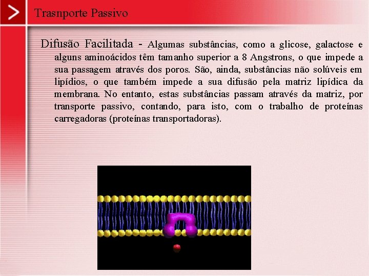 Trasnporte Passivo Difusão Facilitada - Algumas substâncias, como a glicose, galactose e alguns aminoácidos