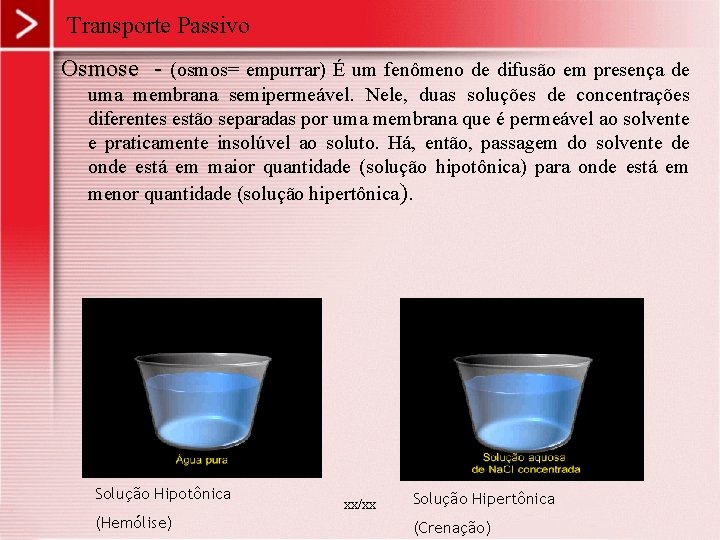 Transporte Passivo Osmose - (osmos= empurrar) É um fenômeno de difusão em presença de