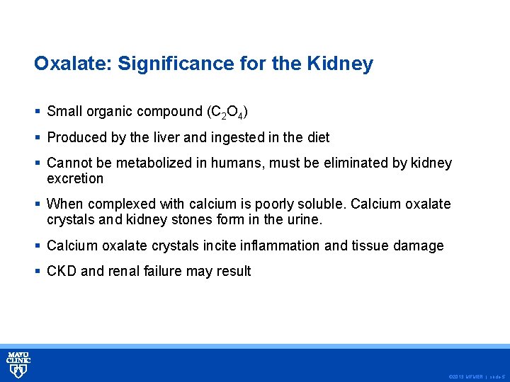 Oxalate: Significance for the Kidney § Small organic compound (C 2 O 4) §