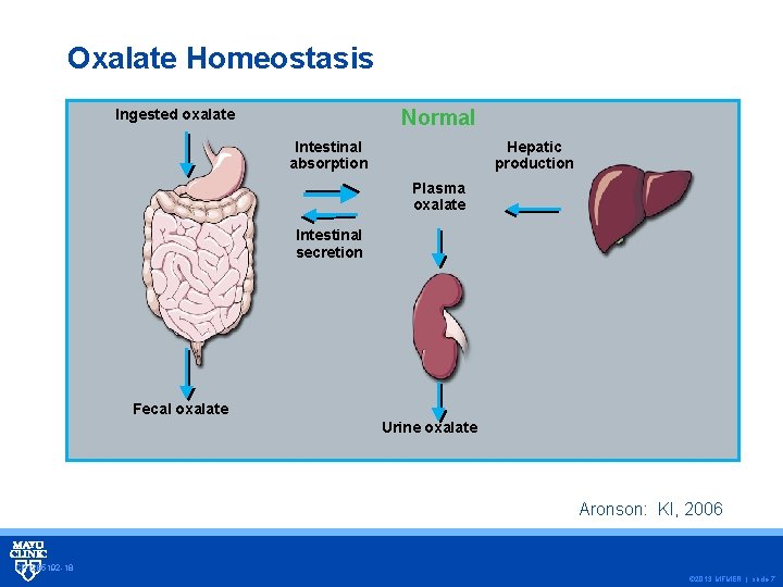 Oxalate Homeostasis Ingested oxalate Normal Intestinal absorption Hepatic production Plasma oxalate Intestinal secretion Fecal