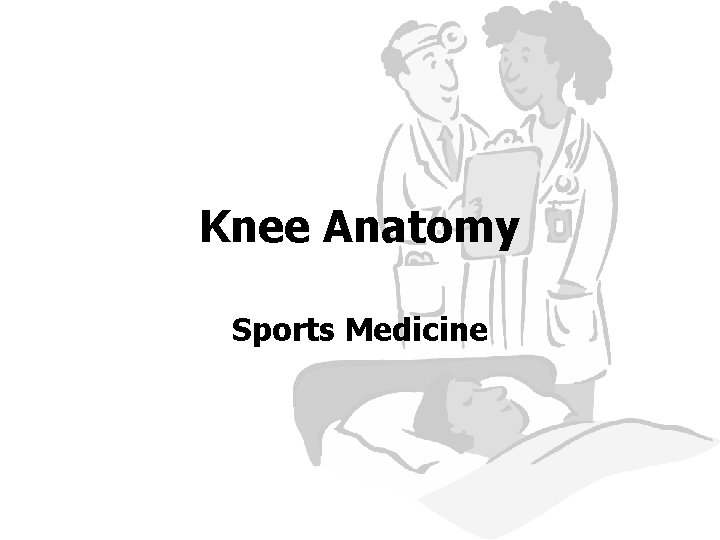 Knee Anatomy Sports Medicine 