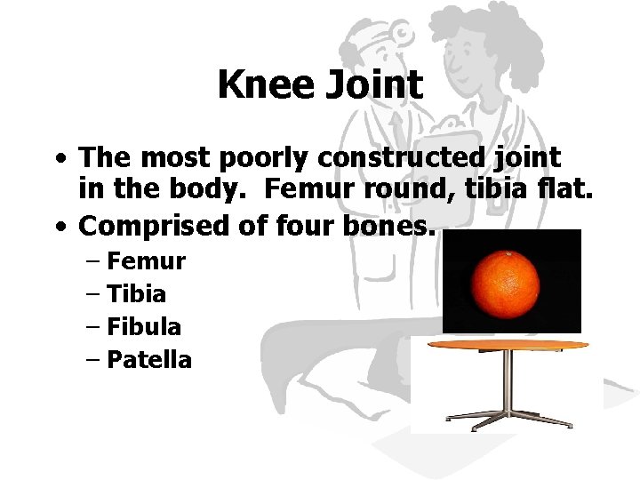 Knee Joint • The most poorly constructed joint in the body. Femur round, tibia