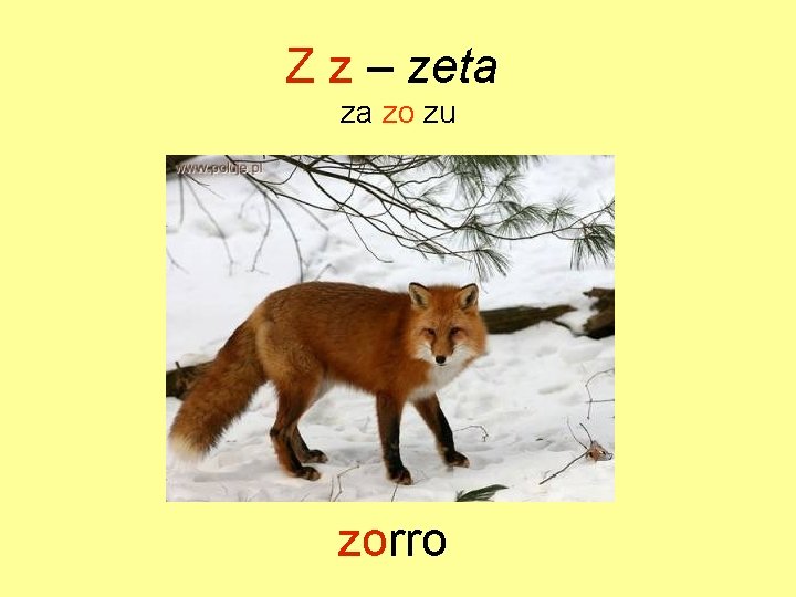 Z z – zeta za zo zu zorro 
