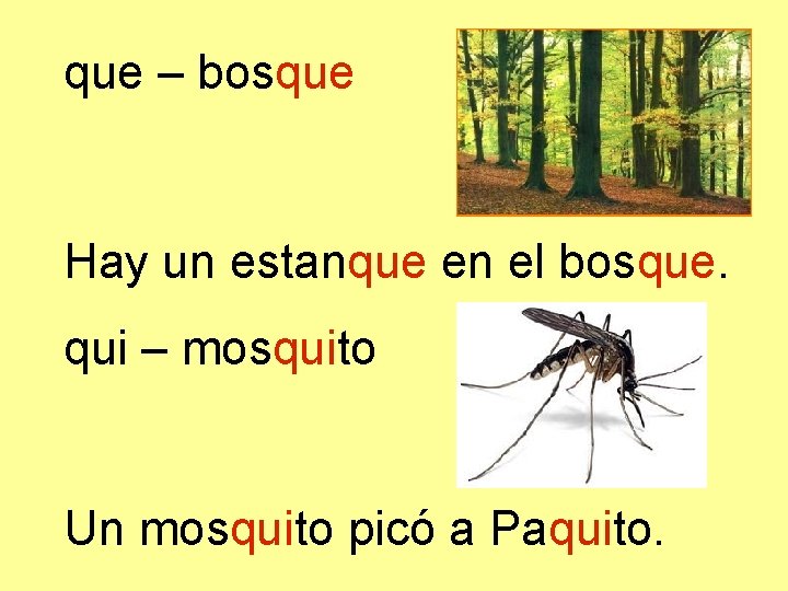 que – bosque Hay un estanque en el bosque. qui – mosquito Un mosquito