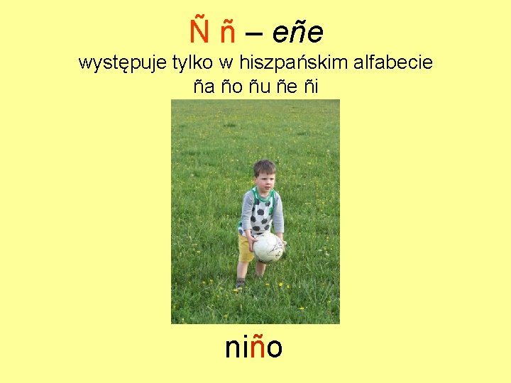 Ñ ñ – eñe występuje tylko w hiszpańskim alfabecie ña ño ñu ñe ñi