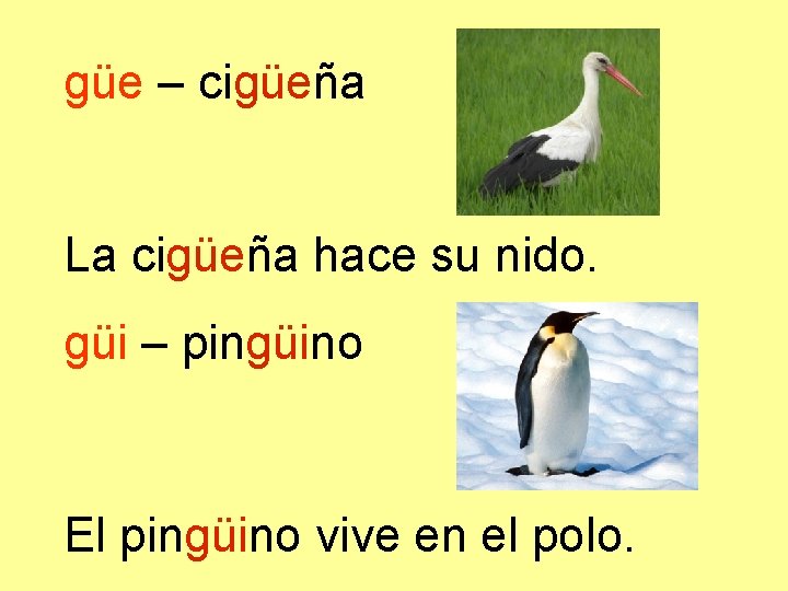 güe – cigüeña La cigüeña hace su nido. güi – pingüino El pingüino vive
