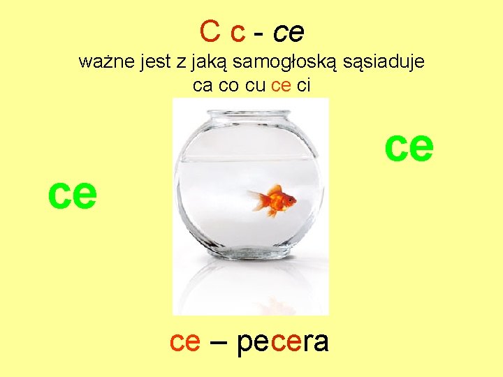 C c - ce ważne jest z jaką samogłoską sąsiaduje ca co cu ce