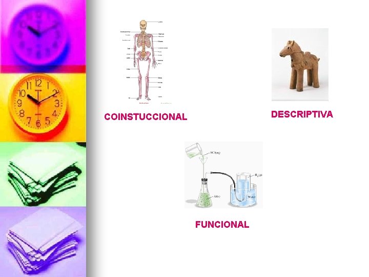 DESCRIPTIVA COINSTUCCIONAL FUNCIONAL 