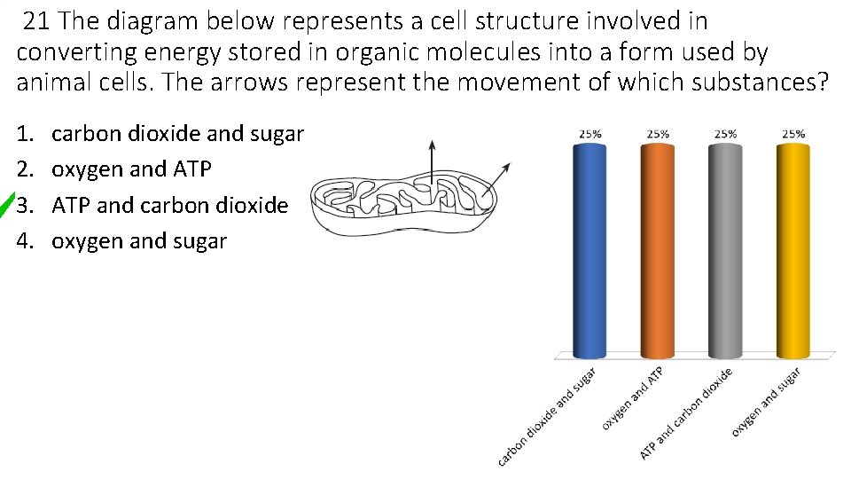 21 The diagram below represents a cell structure involved in converting energy stored in