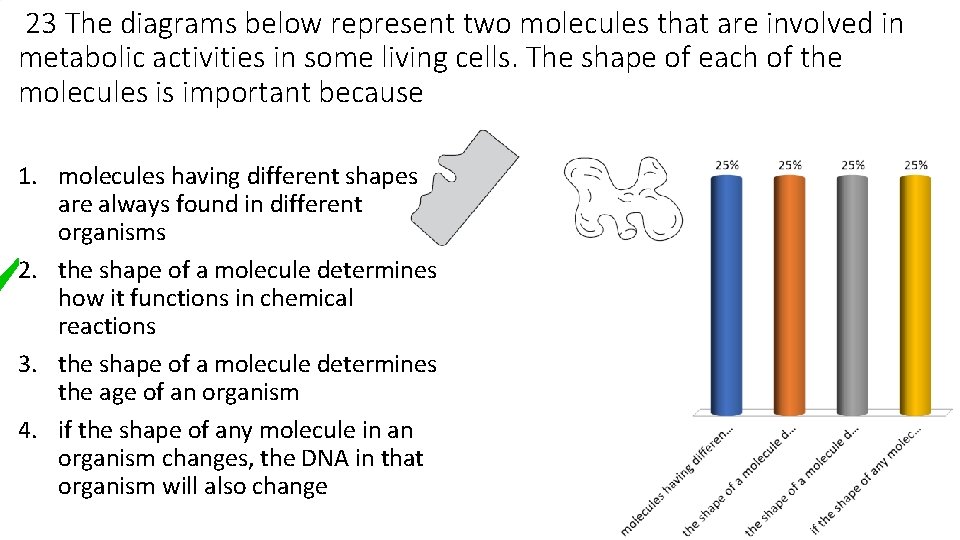 23 The diagrams below represent two molecules that are involved in metabolic activities in