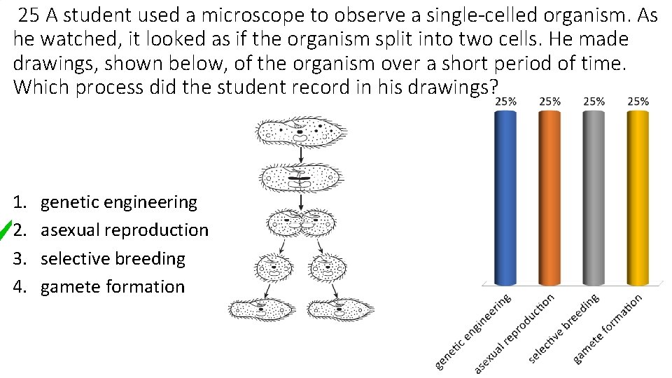 25 A student used a microscope to observe a single-celled organism. As he watched,