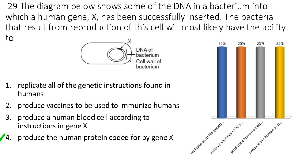 29 The diagram below shows some of the DNA in a bacterium into which