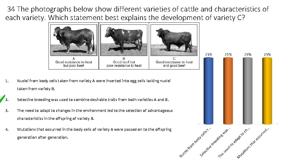 34 The photographs below show different varieties of cattle and characteristics of each variety.