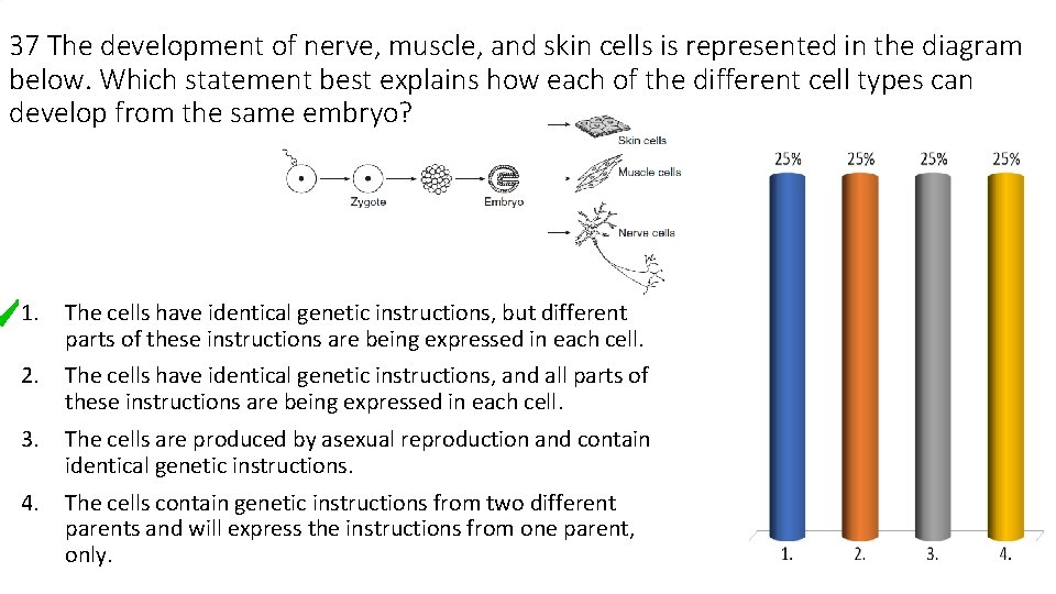 37 The development of nerve, muscle, and skin cells is represented in the diagram