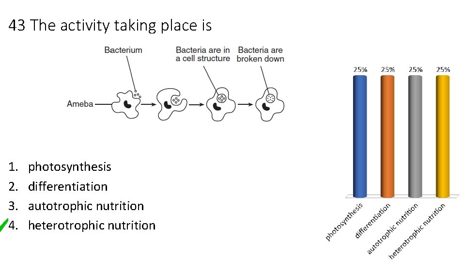 43 The activity taking place is 1. 2. 3. 4. photosynthesis differentiation autotrophic nutrition