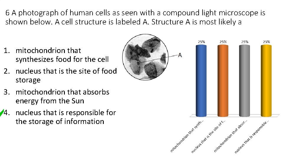 6 A photograph of human cells as seen with a compound light microscope is