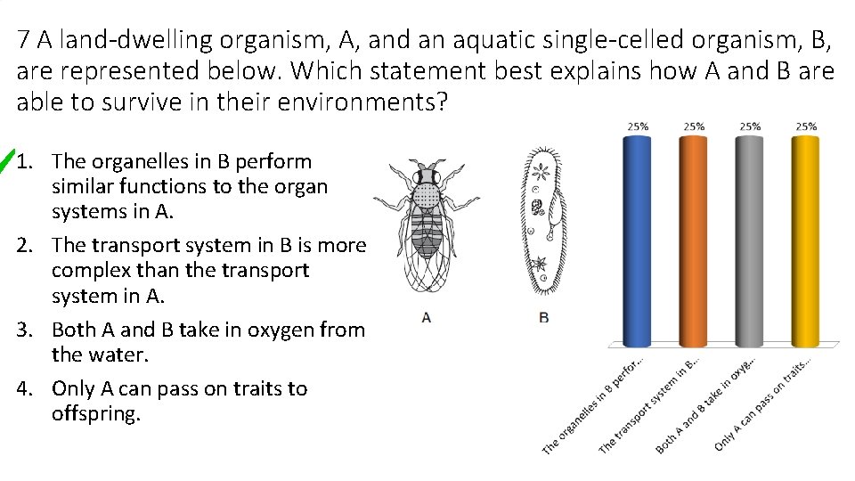 7 A land-dwelling organism, A, and an aquatic single-celled organism, B, are represented below.