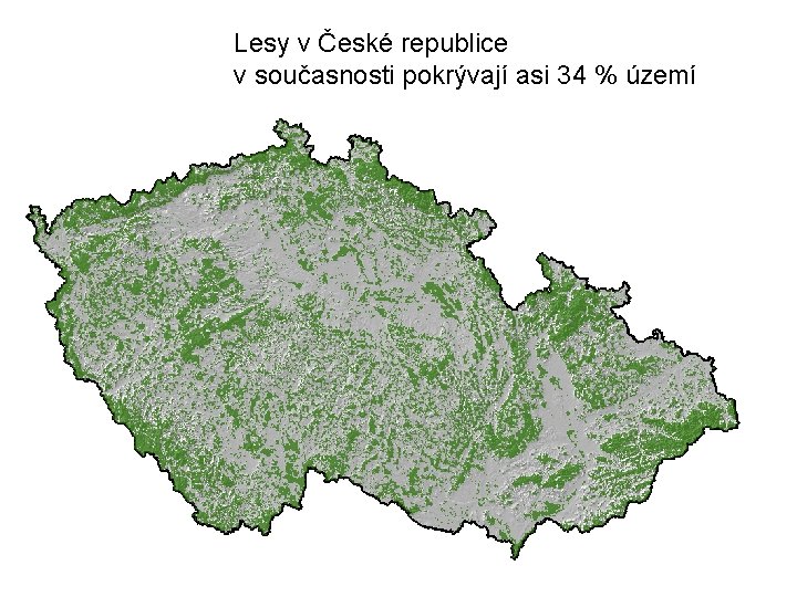 Lesy v České republice v současnosti pokrývají asi 34 % území 