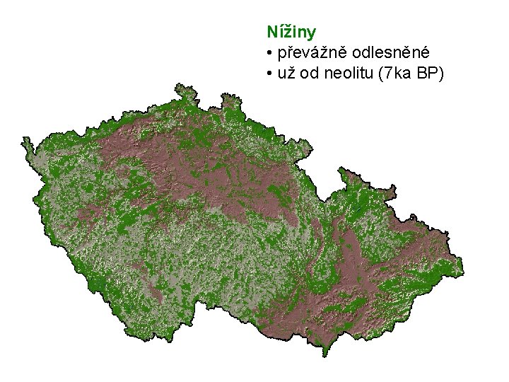 Nížiny • převážně odlesněné • už od neolitu (7 ka BP) 