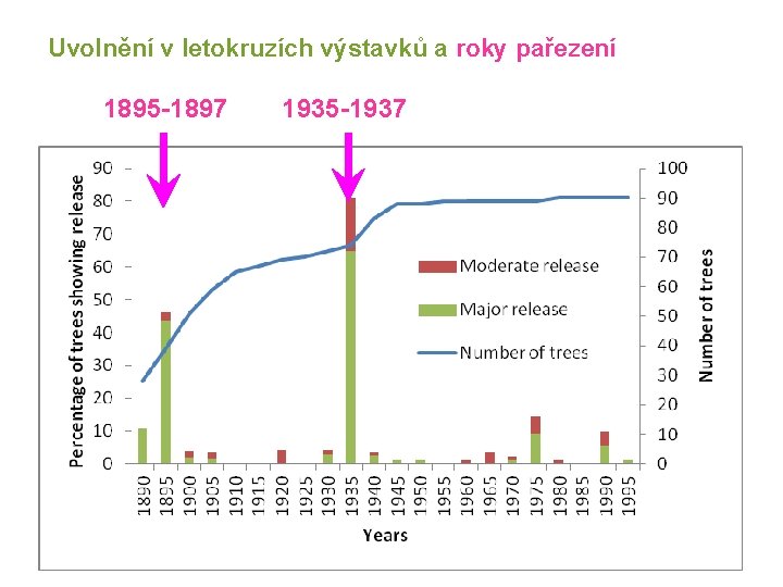 Uvolnění v letokruzích výstavků a roky pařezení 1895 -1897 1935 -1937 