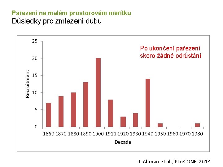 Pařezení na malém prostorovém měřítku Důsledky pro zmlazení dubu Po ukončení pařezení skoro žádné