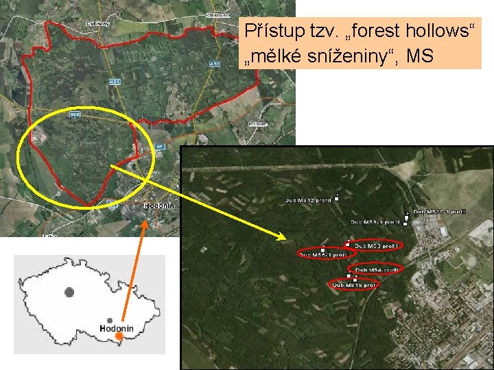 Přístup tzv. „forest hollows“ „mělké sníženiny“, MS 