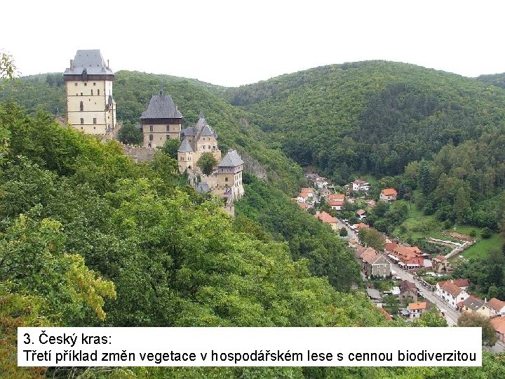 3. Český kras: Třetí příklad změn vegetace v hospodářském lese s cennou biodiverzitou 