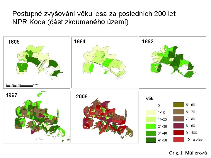 Postupné zvyšování věku lesa za posledních 200 let NPR Koda (část zkoumaného území) 1805