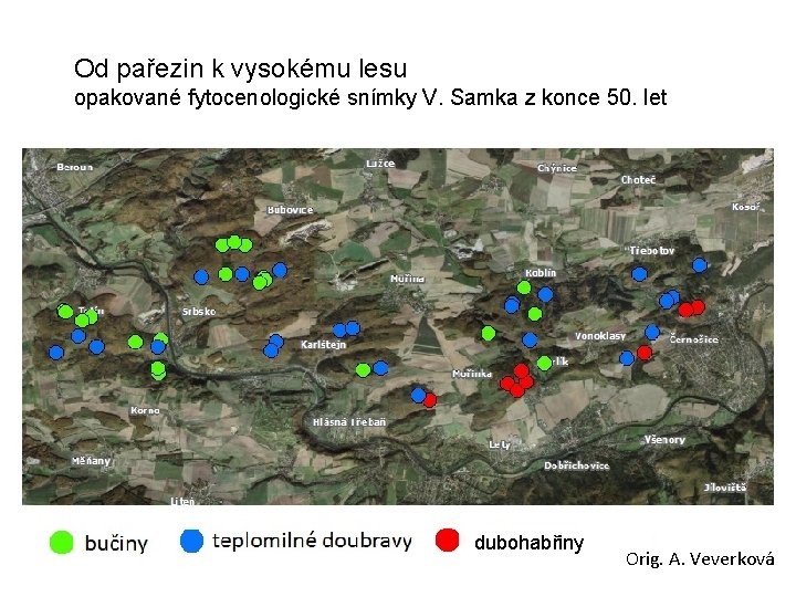 Od pařezin k vysokému lesu opakované fytocenologické snímky V. Samka z konce 50. let