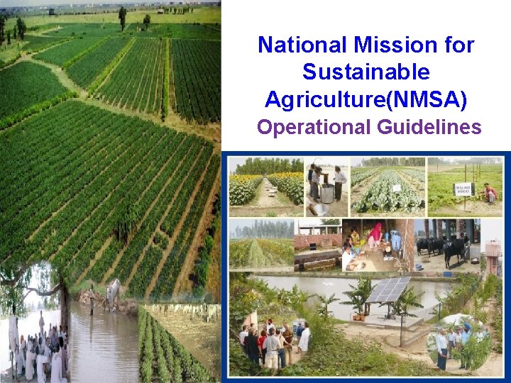 National Mission for Sustainable Agriculture(NMSA) Operational Guidelines 