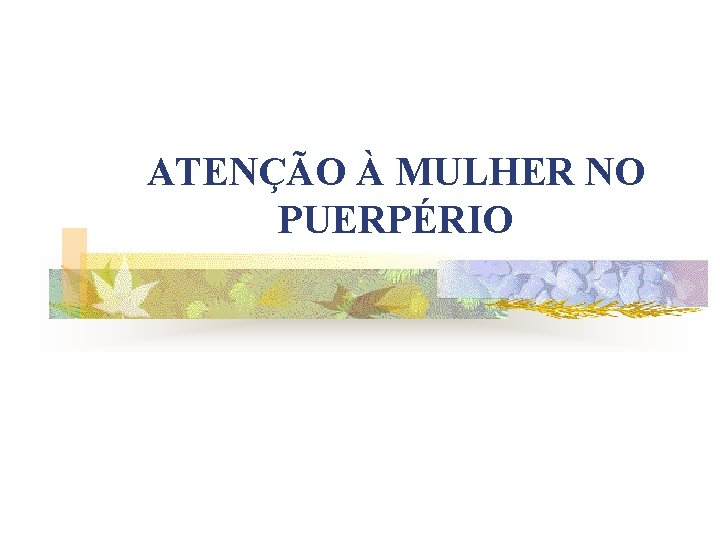 ATENÇÃO À MULHER NO PUERPÉRIO 