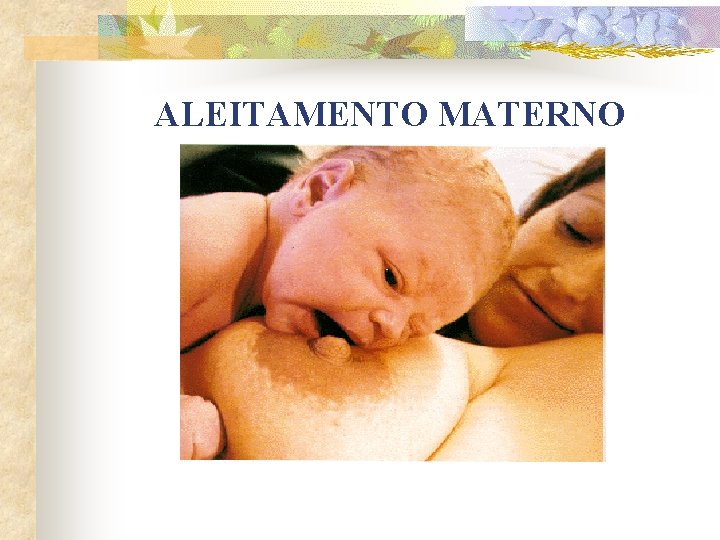 ALEITAMENTO MATERNO 