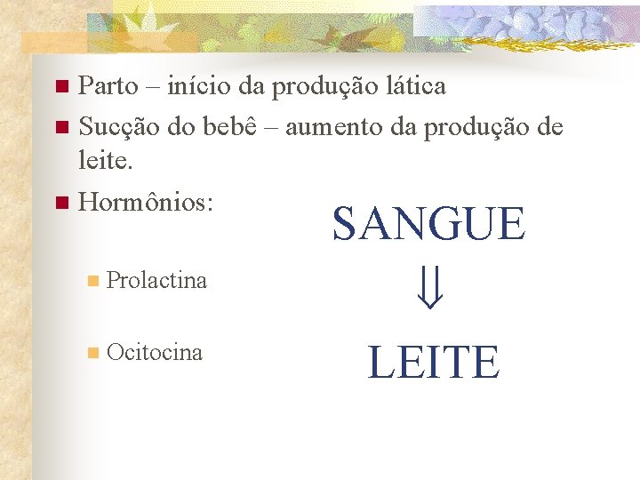 Parto – início da produção lática n Sucção do bebê – aumento da produção