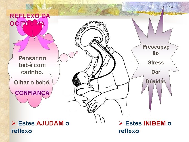3/4 REFLEXO DA OCITOCINA Pensar no bebê com carinho. Olhar o bebê. Preocupaç ão