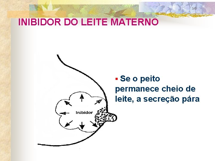 3/5 INIBIDOR DO LEITE MATERNO § Se o peito permanece cheio de leite, a