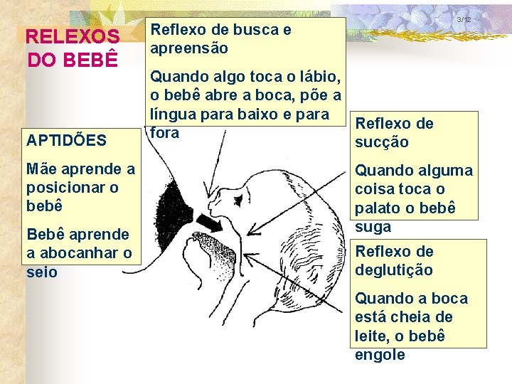 RELEXOS DO BEBÊ APTIDÕES Mãe aprende a posicionar o bebê Bebê aprende a abocanhar