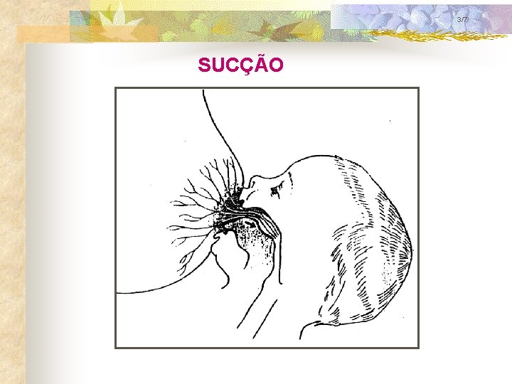 3/7 SUCÇÃO 