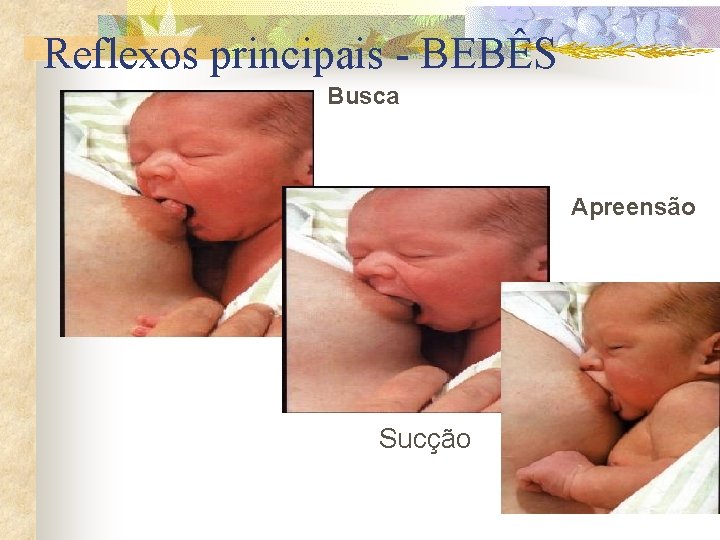 Reflexos principais - BEBÊS Busca Apreensão Sucção 
