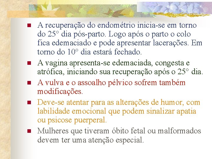 n n n A recuperação do endométrio inicia-se em torno do 25° dia pós-parto.