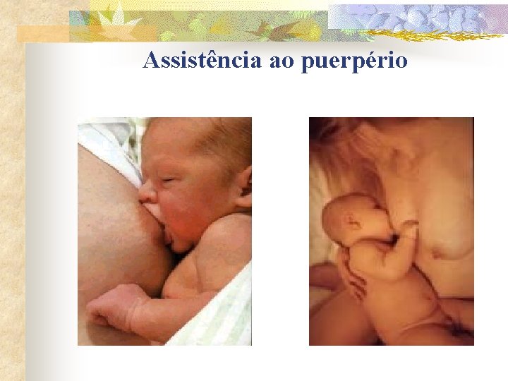 Assistência ao puerpério 