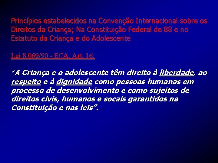 Princípios estabelecidos na Convenção Internacional sobre os Direitos da Criança; Na Constituição Federal de