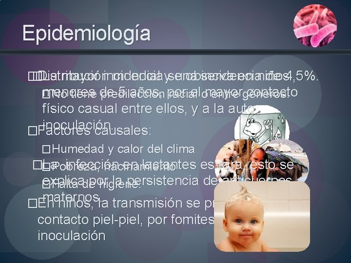Epidemiología � � Distribución La mayor incidencia se observa en mundial y una incidencia