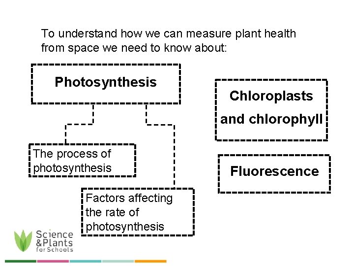 To understand how we can measure plant health from space we need to know