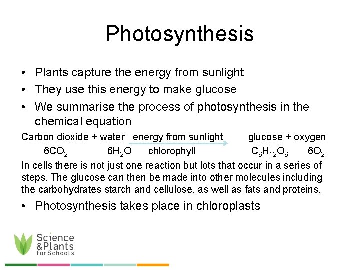Photosynthesis • Plants capture the energy from sunlight • They use this energy to