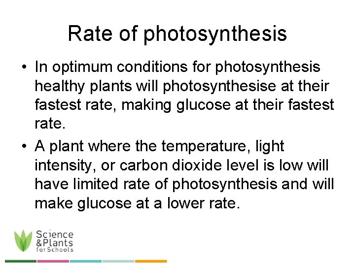 Rate of photosynthesis • In optimum conditions for photosynthesis healthy plants will photosynthesise at