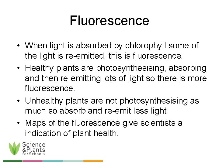 Fluorescence • When light is absorbed by chlorophyll some of the light is re-emitted,